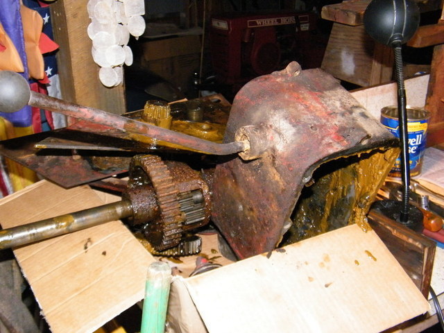 1.4.thumb.JPG.bcea2f0b5065386d49f2e3df7c