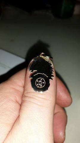 12431462_10208400227982248_381903561_n.t