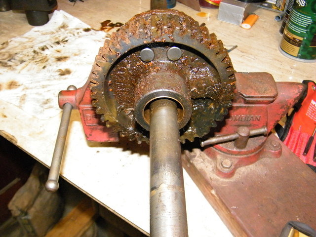 2008_0229LANETRANNYS20009.thumb.JPG.30c3