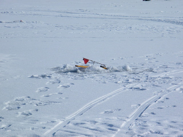 2008_0302screensvaer0002.thumb.JPG.bf239