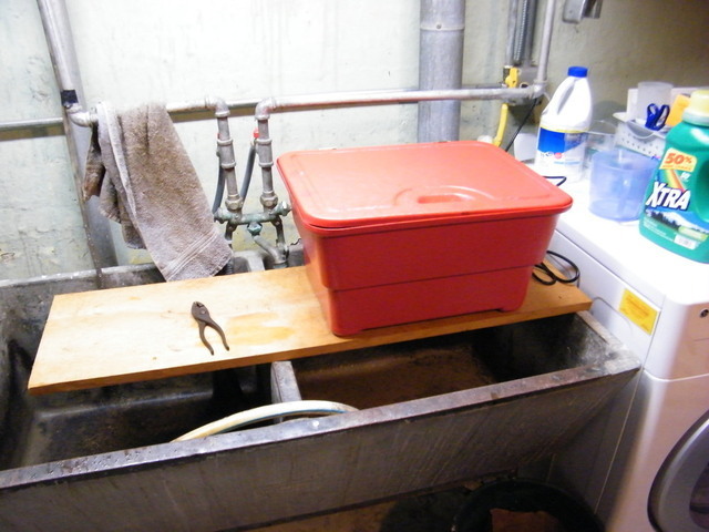 2008_0305LANES10001.thumb.JPG.0ea277477b