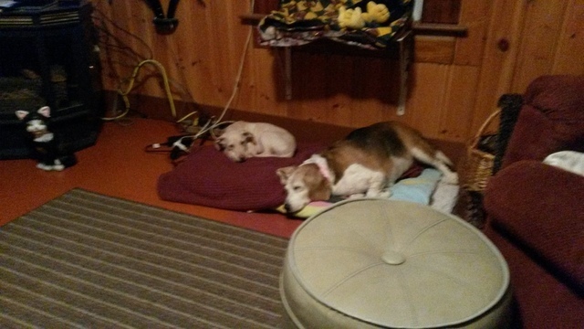 569588c030750_Bryant001.thumb.jpg.83c38d