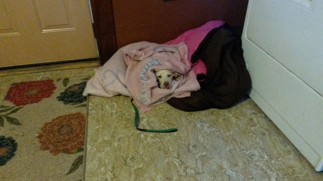 56a38485d175b_WheresBryant006.thumb.jpg.