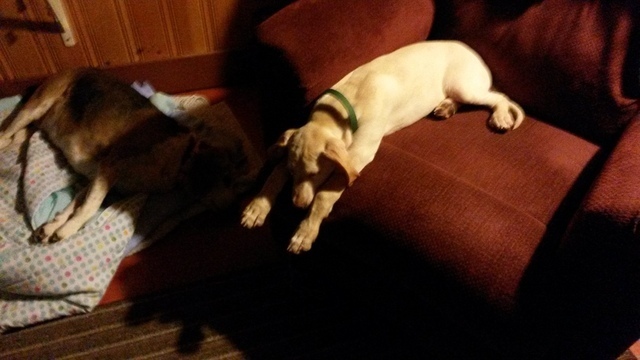 56a3849617bac_WheresBryant003.thumb.jpg.