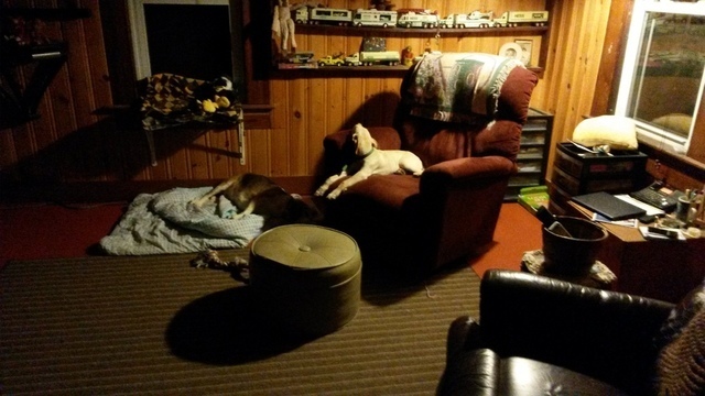 56a384a871adc_WheresBryant001.thumb.jpg.