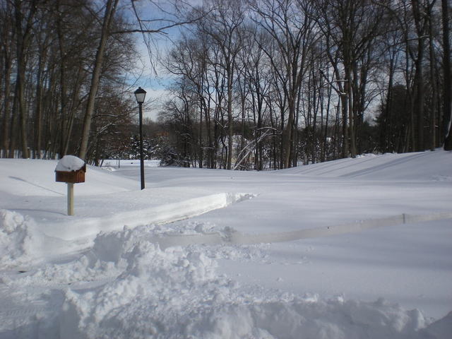 DSCN3308.thumb.JPG.1258cbad2ecfb3c436788