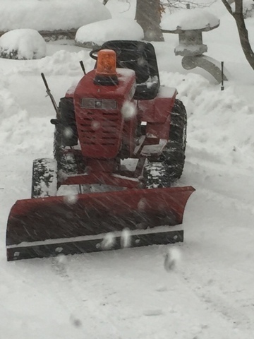 IMG_0039.JPG.14ce918e04e4a6f65380591c70c