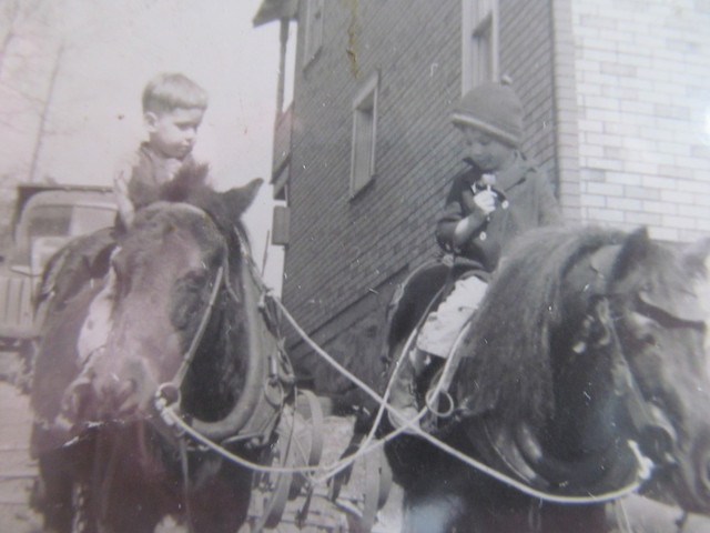 IMG_5284.thumb.JPG.cb8501333d522759a4a6c