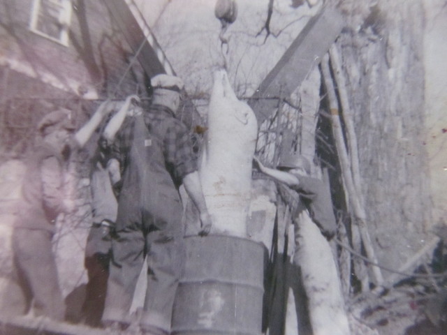 IMG_5287.thumb.JPG.5d41c1ed8179b24422d1d