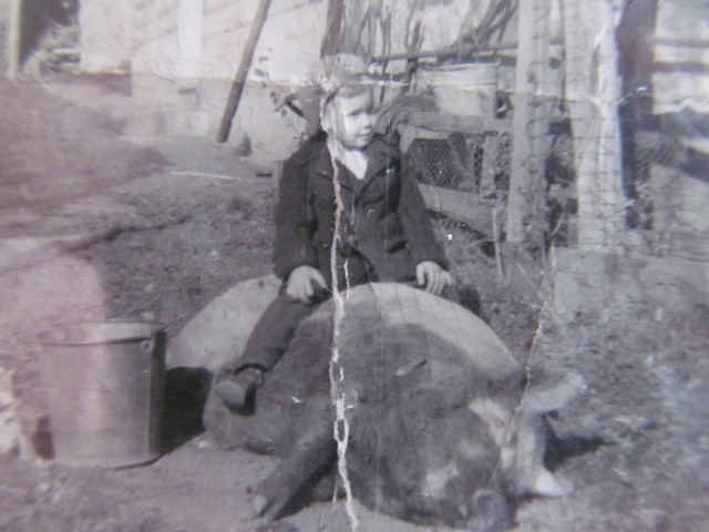 IMG_5288.thumb.JPG.65faac4ac9dc3d3dcefa6