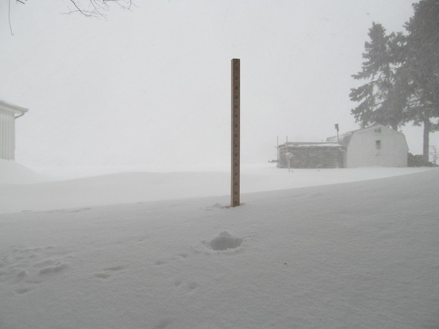 IMG_5326.thumb.JPG.9a525654d0b5e9a3ce861