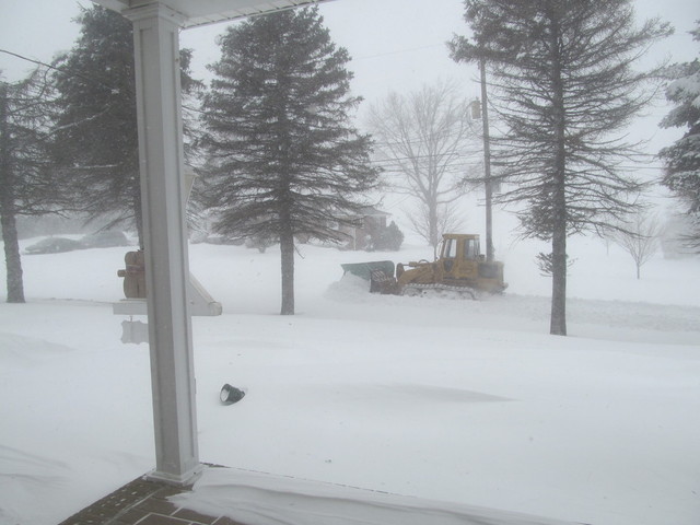 IMG_5328.thumb.JPG.ef84cd20a31e367b214a1