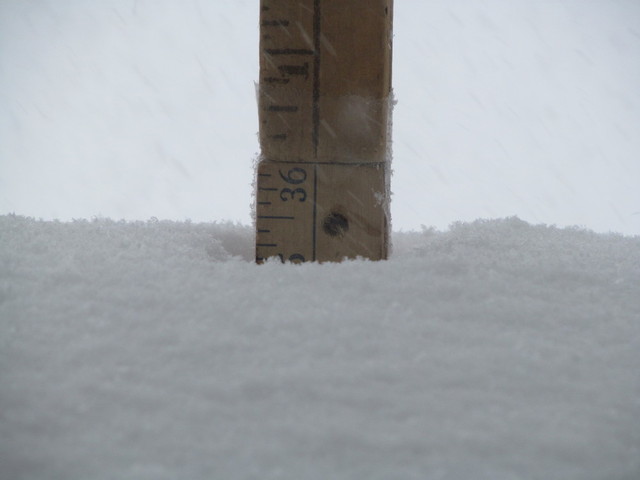 IMG_5332.thumb.JPG.a03c6a66951f46149d445