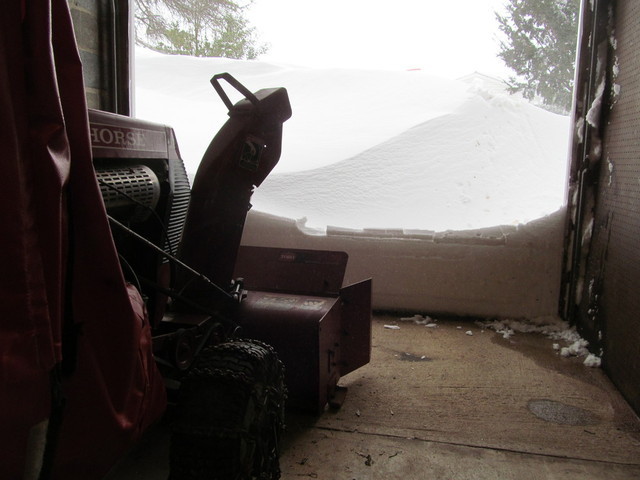 IMG_5343.thumb.JPG.dc42987e00c4e6c55c4c2