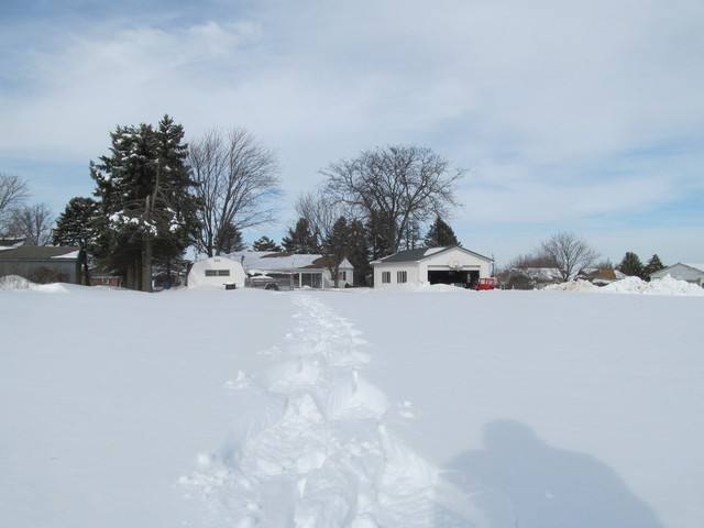 IMG_5368.thumb.JPG.8f96bf90416569e0c55f1