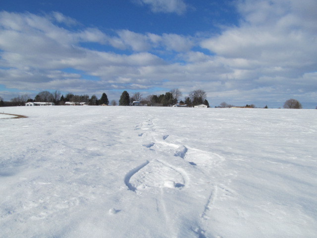 IMG_5386.JPG.81439ab9f8d644f49037d81f1ef