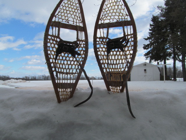 IMG_5388.JPG.61028b2e84244264fe05aa31bb1