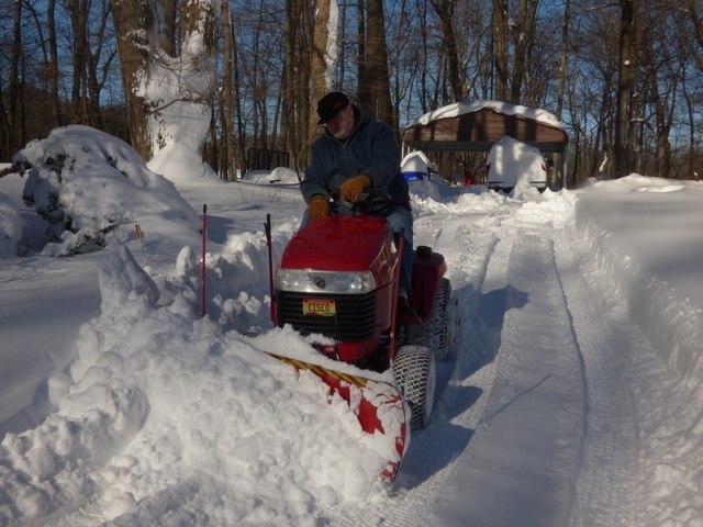 P1010630.thumb.JPG.b00364253dad90277ec8d