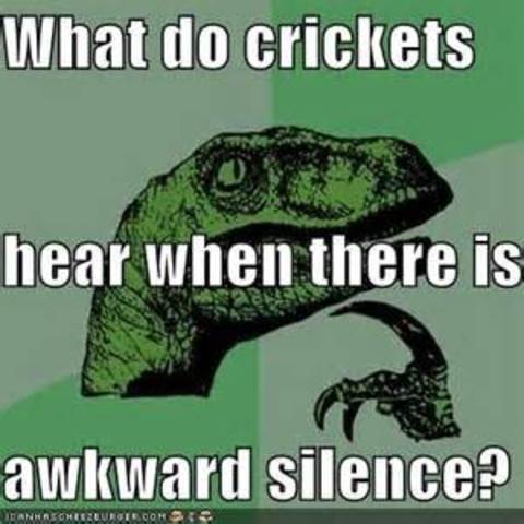 crickets.jpg.e4fa0c03214c995b4bc1b09f8df