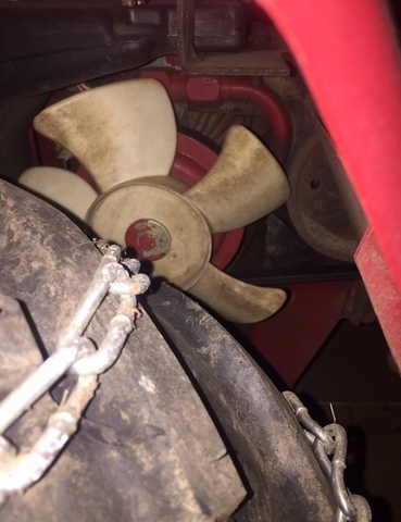 transfan.thumb.jpg.23126bb58648367e1aeb6