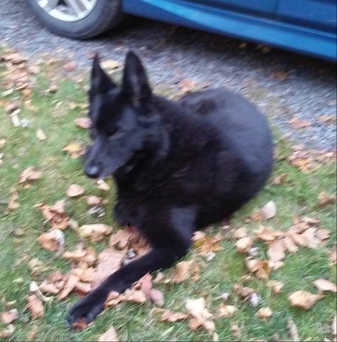 1020151739-1.thumb.jpg.e0214764b55e72dd5