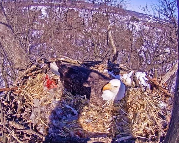 2-14-16-3.jpg.ba68f2e98fa3a56c2038da08eb