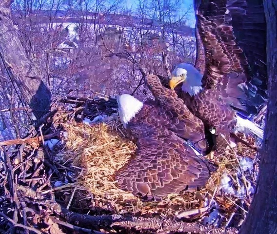 2-14-16.thumb.jpg.31d00cc79be1e8493b1b02