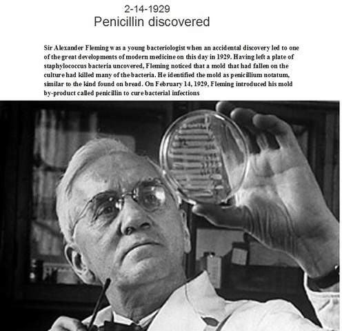 2-14.jpg.b277343de4cf06445856f336bf62fe9