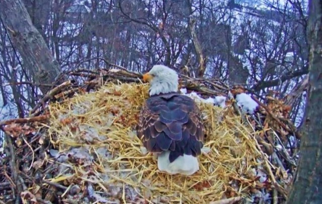 2-15-16.jpg.845074f09ab8c96abee88ebc87f6