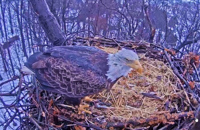 2-16-16-2.jpg.2a78cbb12320f36621da83eed4