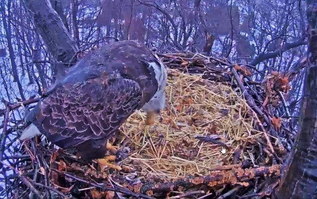 2-16-16-3.jpg.898b51b85097009c60c6c0afaa