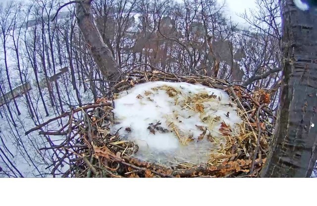 2-16-16.thumb.jpg.6a49f3400ac36bfad2479a