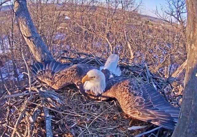 2-18-16-2.thumb.jpg.dc3dcfd8d1f68883e344