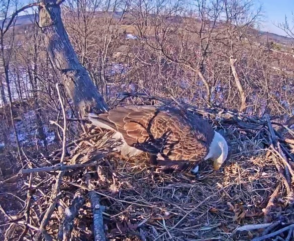 2-18-16.jpg.66602a7e3ddaa3dad960139ffffd