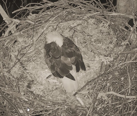 2-19-16.jpg.b979a7d6072adff271294283e9b8