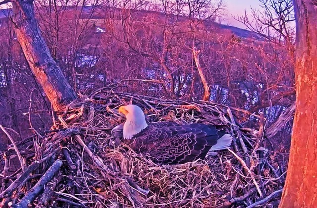 2-20-16-4.jpg.fbeed98b48121ed12b2a89a52c