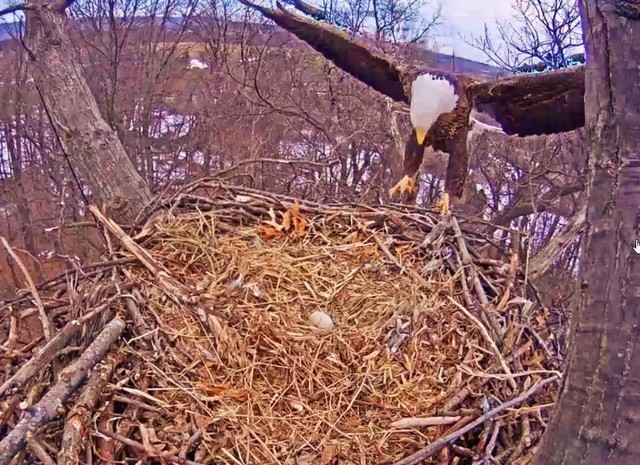 2-20-26-3.thumb.jpg.b0ad7b82b4ca14a4ba4e