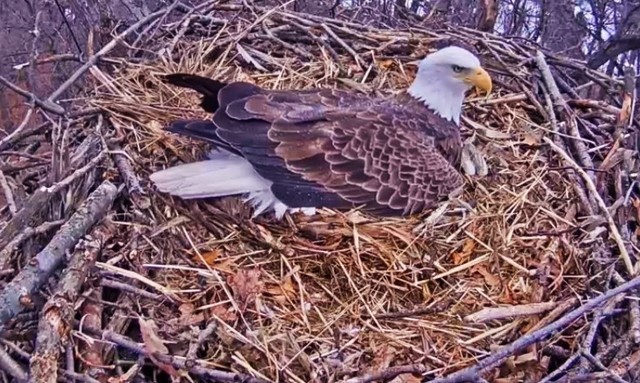 2-21-16-3.jpg.efc2e279f2c488d44dbcae9b3f