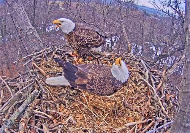 2-21-16-4.jpg.814ecc9c9a44b616376f6e5d0e