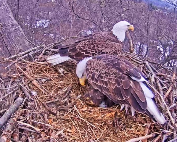 2-21-16-5.jpg.767ee726c07eca729494f71bc6