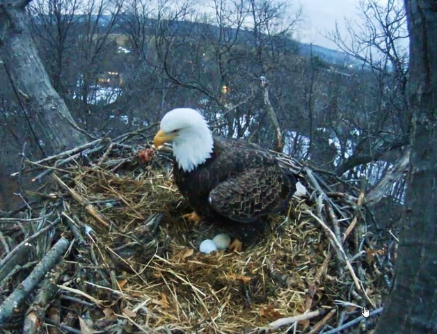 2-21-16-6.jpg.081731a6dd761879d8b396ac09