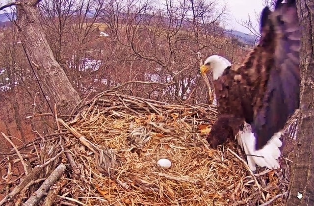 2-21-16.jpg.d9930299462ef0f568507ddf99d0