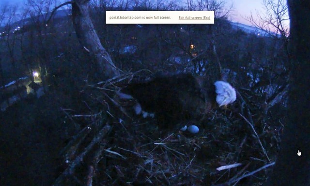 2-22-16.thumb.jpg.56becf6bf231f1ba4e4c05