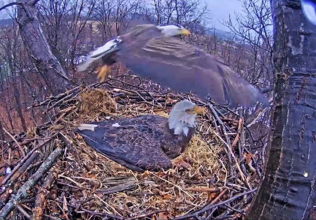 2-23-16-2.thumb.jpg.9cdbd0e6f7d23e768195