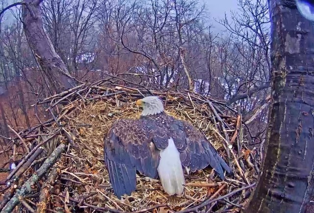 2-23-16.thumb.jpg.1196b18b52479fb634ff21