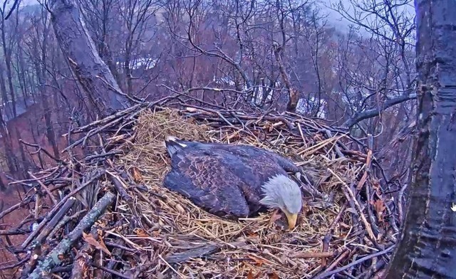 2-24-16-2.thumb.jpg.e5464db201e1370983e3