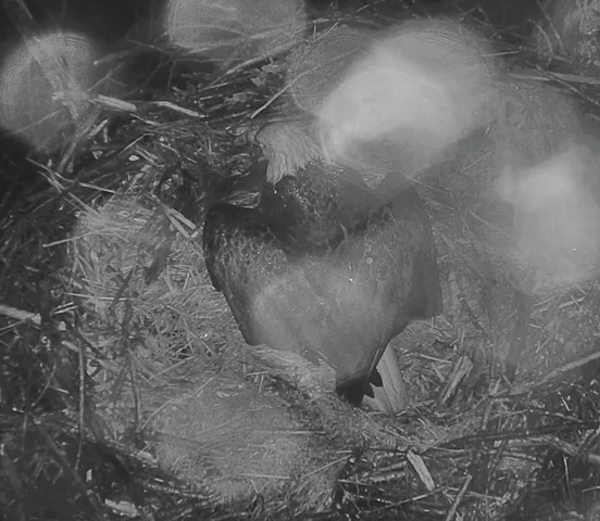 2-24-16-3Untitled.jpg.4b0df1e25d33e6a52e