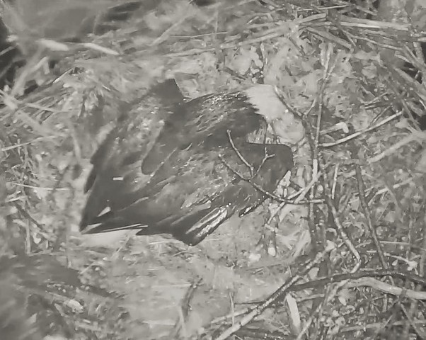 2-24-16-4.jpg.694b16f178a6ea33a30e706d88