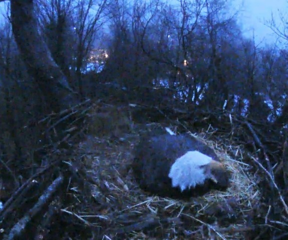 2-24-16.jpg.4c886bfa81f5e656ea9bb5b8db55