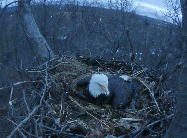 2-25-26-2.thumb.jpg.4945cf9fbfb307def479